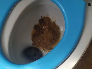 dritnya