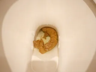 Смачно высрал