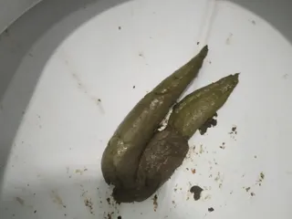 Толстая какашка