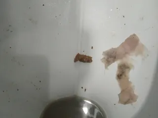 Мини какашка