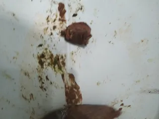 Шашлык