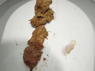 Змея