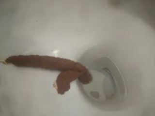 Коричневый змей