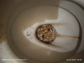 Какашечки
