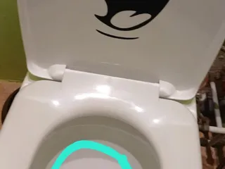 Ваня