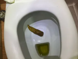 Ровный мегаладон