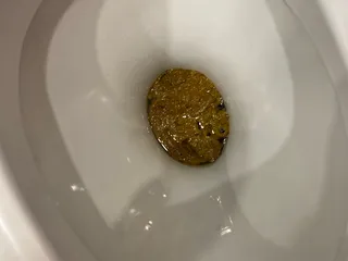Водоросли