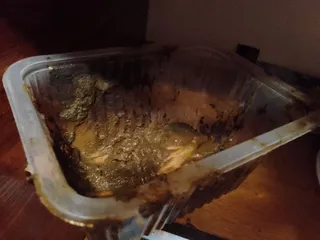 Какашечья корзинка