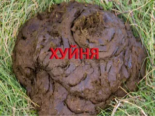 хуйня