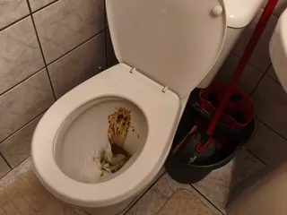 шлефовка