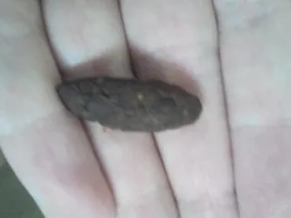 мелкая