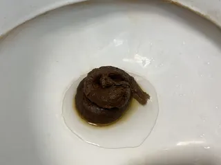 девочка грациозно прилегла