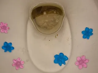 красивая какашка