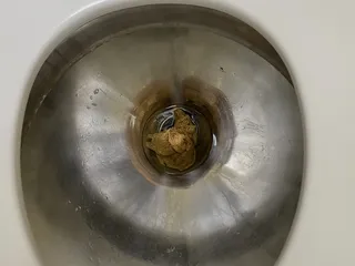 покакал в поезде