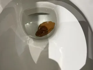 мини какашка