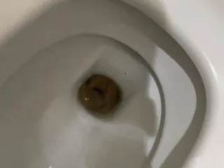 высрал говно