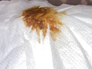 Бумага с говном