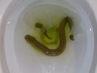 Утренняя дрисня после кофе