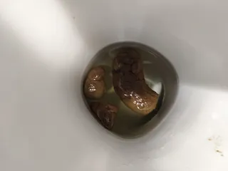 грустная какахуля