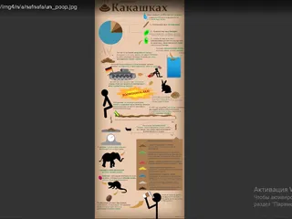 факты о какашках