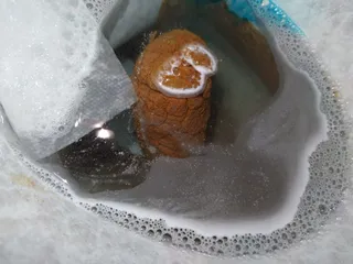 какшка с попой