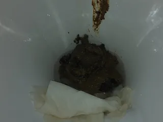 Утренний какаш