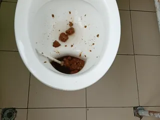 Ершик в говне