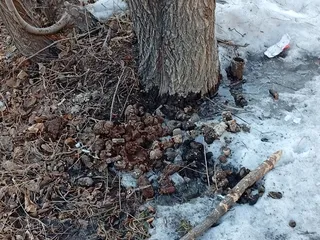 Непонятная кучка