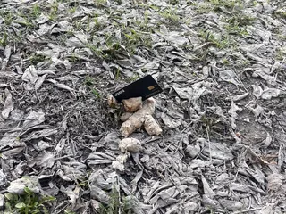 Проверка моего ножика банковской карты