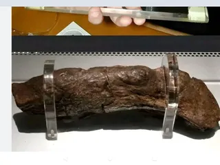 Самая большая какашка в мире