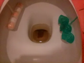 Светая какашка