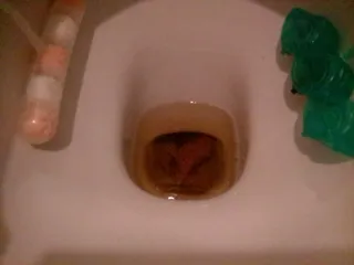 Утром посрала