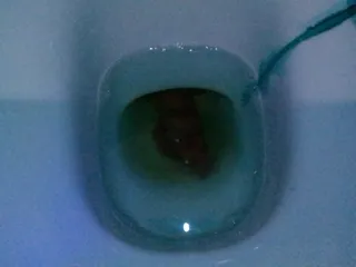 Польская какаш