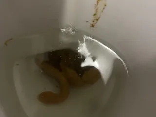 Семейка какашек, 8 какашек очень красивых!