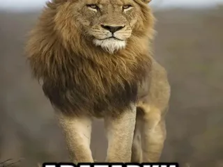 колбаооон школьник