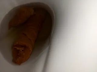 Вчера с утра насрал