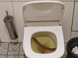 Глистопердежник