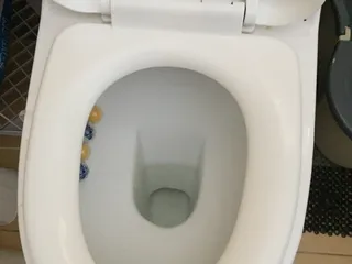 Новый туалет