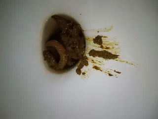 какашульичка моя