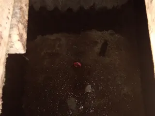 Семейная вареная сгущенка