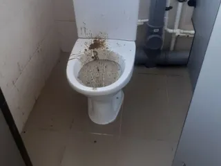 Понос лютый