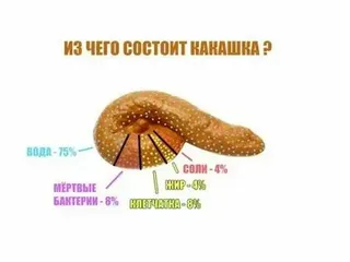 из чего состоит ваш  кал