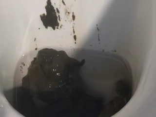 Сиро посрал