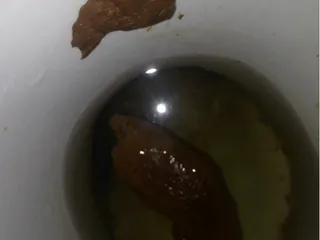 Какашка для НяшечкиКакашечки