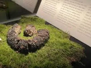 Памятная какашка