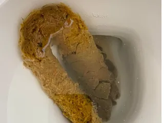 Длинное дерьмо