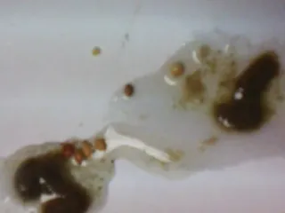 Хахахахахаха