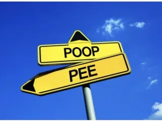 Жди какашку