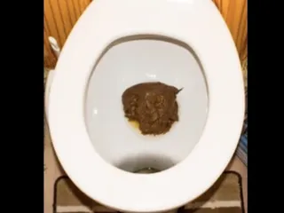 Привет я МорскойЕж2 мой старый акк МорскойЕж его нет на сайте пока