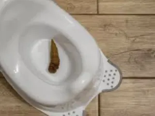 Какашка в горшке